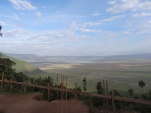 the crater.  30,000 animals