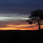 DSC00565