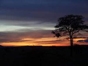 DSC00565