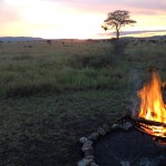 bush tv,  lemala tent camp