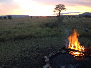 bush tv,  lemala tent camp