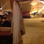 serengeti tent camp