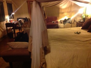 serengeti tent camp