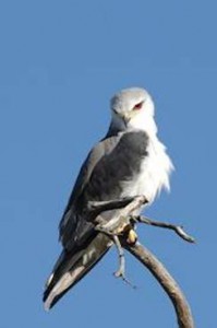 image018