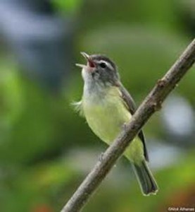 image020