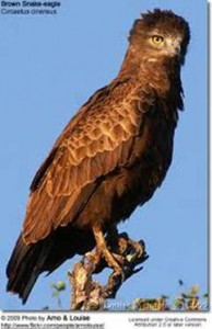 image022