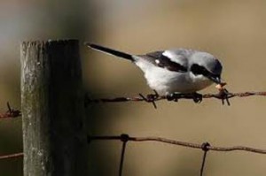 image024