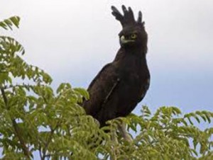 image030