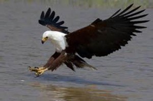 image036