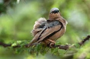 image040