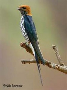 image058