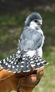 image070