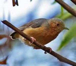 image074