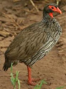 image076